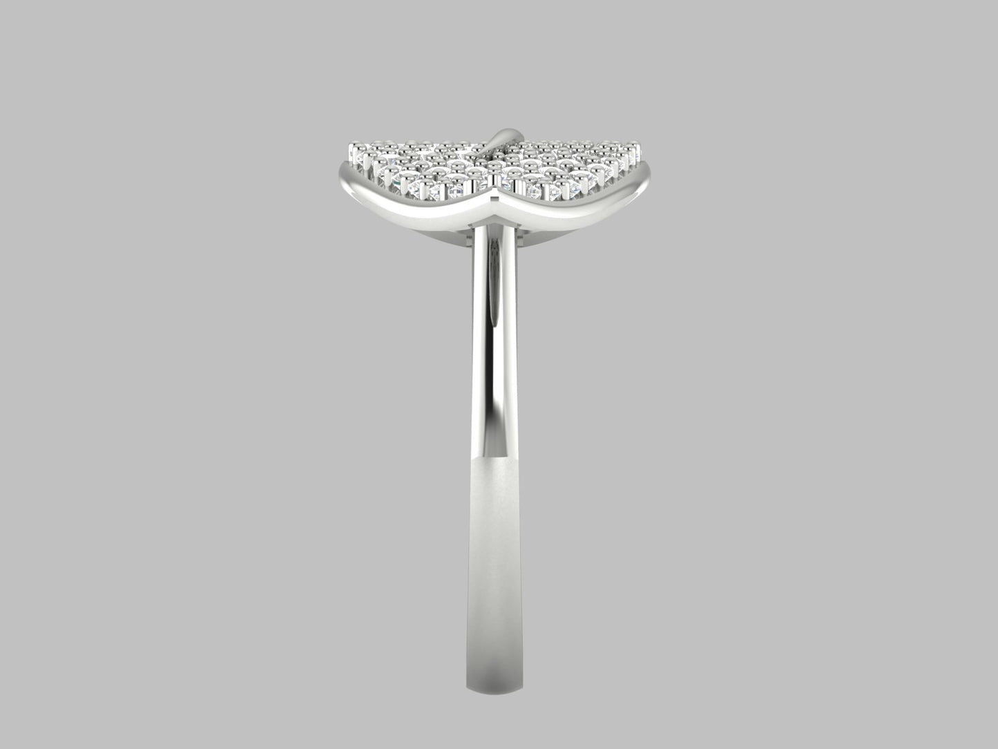 "The Luxurious Zircon and Moissanite Stone Ring"